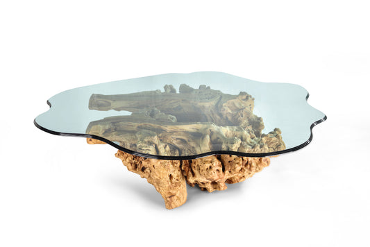 Nature's Wooden Glass coffee Table