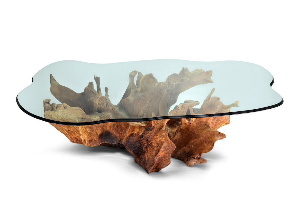 Nature's Reflections Wood & Glass Table