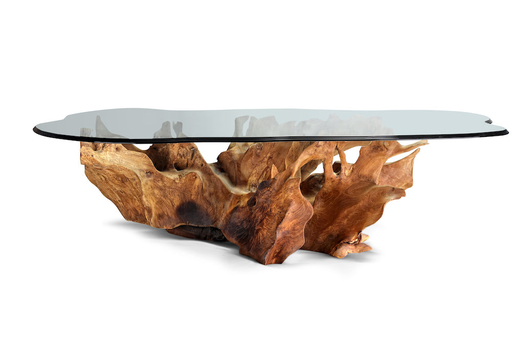 Nature's Reflections Wood & Glass Table