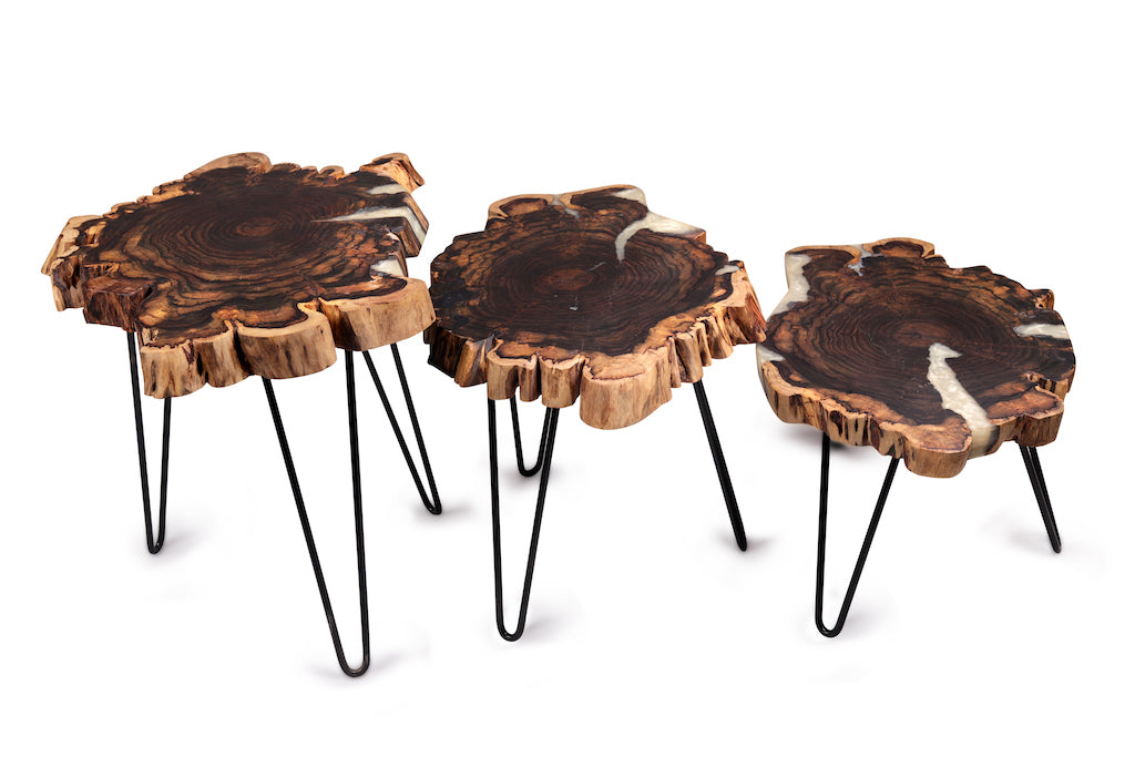 NatureInspired Side Tables